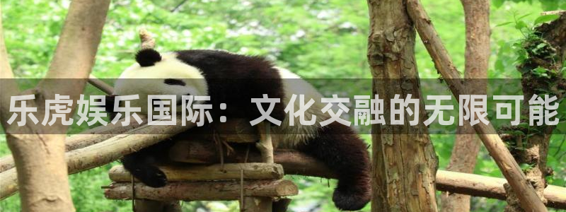 运达娱乐登录