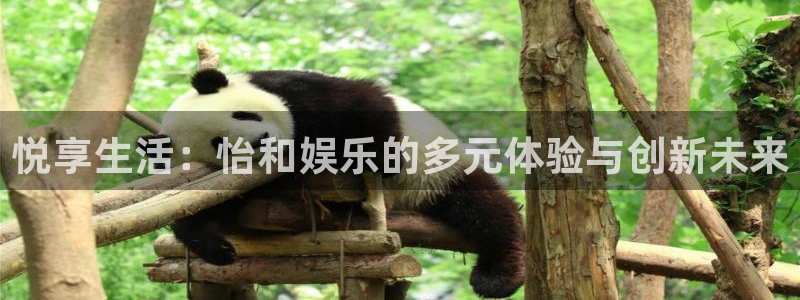 运达娱乐地址